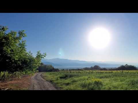 Road to our vineyard and view of caucasus mountain and alazani valley.  გზა ჩვენი ვენახისკენ.